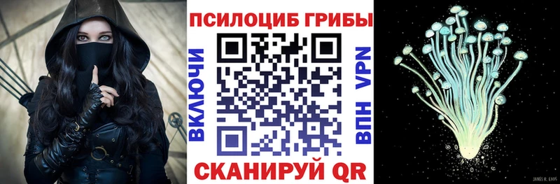 Псилоцибиновые грибы GOLDEN TEACHER  купить  сайты  блэк спрут ТОР  Венёв 